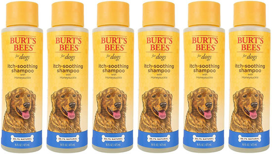 Picture of Burt's Bees for Pets Itch Soothing Shampoo with Honeysuckle | Anti-Itch Dog Shampoo for All Dogs with Sensitive Skin | Cruelty Free, Sulfate & Paraben Free, pH Balanced for Dogs, 16 Oz - 6 Pack