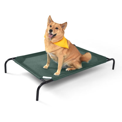 Picture of Coolaroo Gale Pacific The Original Cooling Elevated Dog Bed, Indoor and Outdoor, Large, Brunswick Green, 51.00" x 31.50" x 8.00"