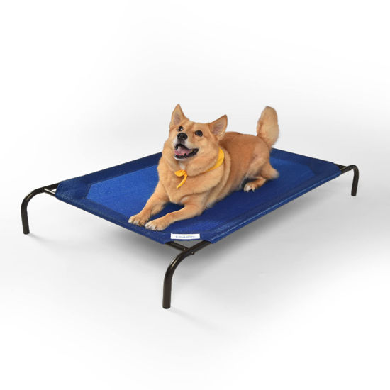 Picture of Coolaroo The Original Cooling Elevated Dog Bed, Indoor and Outdoor, Large, Aquatic Blue