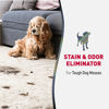 Picture of Nature's Miracle Advanced Stain and Odor Eliminator Dog for Severe Dog Messes