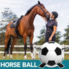 Picture of QDAN Herding Dog Balls Horse Ball - 25 inch Horse Toys Herding Ball for Dogs, Large Giant Ball Toys for Australian Shepherd Dog Toys, Black