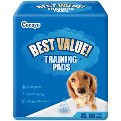 Picture of COCOYO Best Value Training Pads, 28" by 34" XL, 40 Count,Blue and White, Packaging may vary