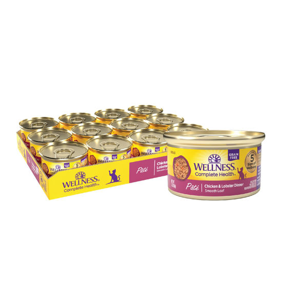 Picture of Wellness Complete Health Grain-Free Wet Canned Cat Food, Natural Ingredients, Made with Real Meat, All Breeds, Smooth Pate (Chicken & Lobster, 3-Ounce Can, Pack of 24)