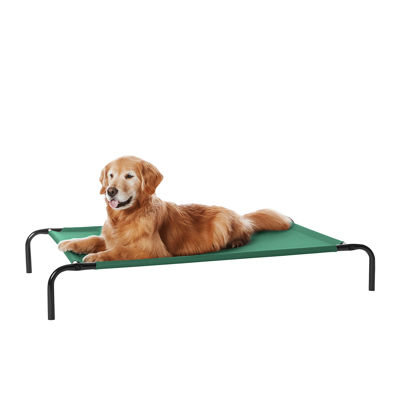 Picture of Amazon Basics Cooling Elevated Dog Bed with Metal Frame, Large, 130 x 80 x 19 cm (L x W x H), Green