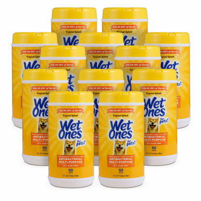 Picture of Wet Ones for Pets Multi-Purpose Dog Wipes with Aloe Vera, 50 Count - 12 Pack | Dog Wipes for All Dogs in Tropical Splash, Wipes for Paws & All Purpose