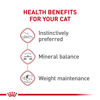 Picture of Royal Canin Feline Health Nutrition Adult Instinctive Loaf in Sauce Canned Cat Food, 5.1 oz Can (24-Count)