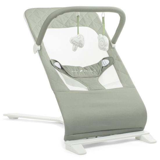 Picture of Baby Delight Alpine Deluxe Portable Baby Bouncer | Infant | 0-6 Months | 100% GOTS Certified Organic Cotton Fabric | Organic Sage