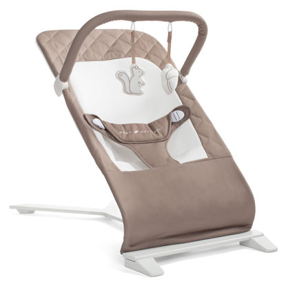 Picture of Baby Delight Alpine Deluxe Portable Baby Bouncer | Infant | 0-6 Months | 100% GOTS Certified Organic Cotton Fabric | Organic Mocha