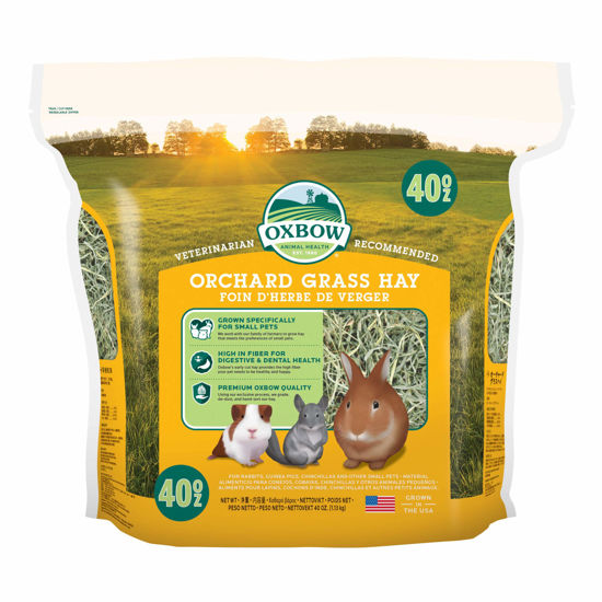 Picture of Oxbow Animal Health Orchard Grass Hay - All Natural Grass Hay for Chinchillas, Rabbits, Guinea Pigs, Hamsters, Gerbils & Other Small Pets - Grown in the USA- Fiber Rich- 40 oz.