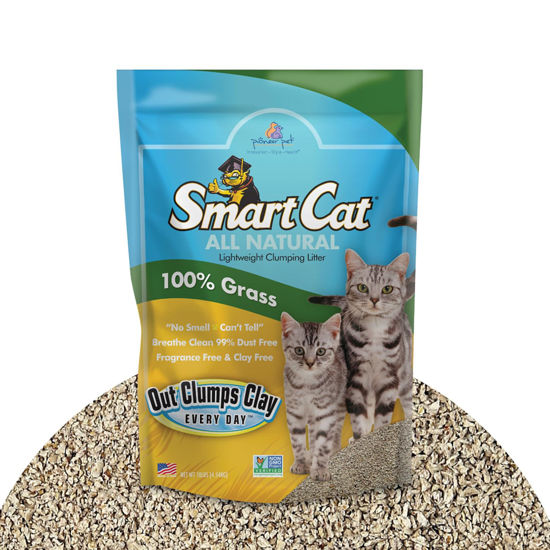 Picture of SmartCat All Natural Clumping Cat Litter, 10 Pound (160oz 1 Pack) - Alternative to Clay and Pellet Litter - Chemical and 99% Dust Free - Unscented and Lightweight