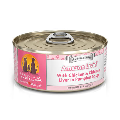 Picture of Weruva Classic Dog Food, Amazon Livin' with Chicken Breast & Chicken Liver in Pumpkin Soup, 5.5oz Can (Pack of 24)