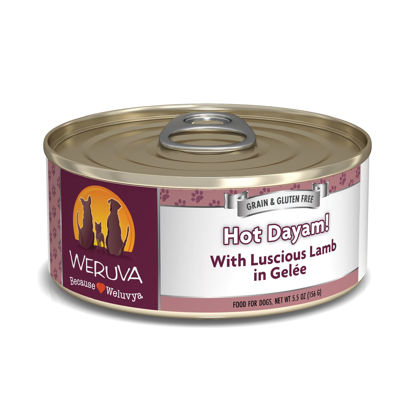 Picture of Weruva Classic Dog Food, Hot Dayam! with Lamb in Gelée, 5.5oz Can (Pack of 24)