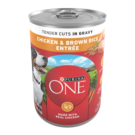 Picture of Purina ONE Tender Cuts in Wet Dog Food Gravy Chicken and Brown Rice Entree - (Pack of 12) 13 oz. Cans