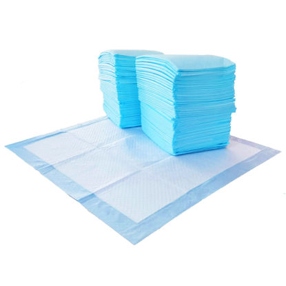 Picture of Amazon Basics Dog and Puppy Pee Pads with 5-Layer Leak-Proof Design and Quick-Dry Surface for Potty Training, Regular, 22 x 22 Inch, Scented - Pack of 150, Blue