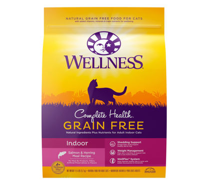 Picture of Wellness Natural Pet Food Complete Health Natural Grain Free Salmon & Herring Indoor Dry Cat Food, 11.5 Pound Bag