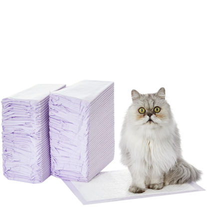 Picture of Amazon Basics Cat Pad Refills for Litter Box, Unscented, Pack of 80, Purple