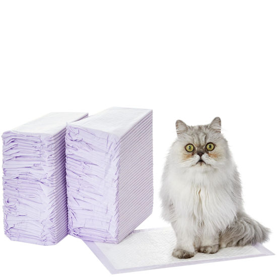 Picture of Amazon Basics Cat Pad Refills for Litter Box, Fresh Scent - Pack of 80, White/Purple