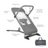 Picture of Baby Delight Alpine Deluxe Portable Bouncer | Infant | 0 - 6 months | Charcoal Tweed