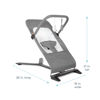 Picture of Baby Delight Alpine Deluxe Portable Bouncer | Infant | 0 - 6 months | Charcoal Tweed