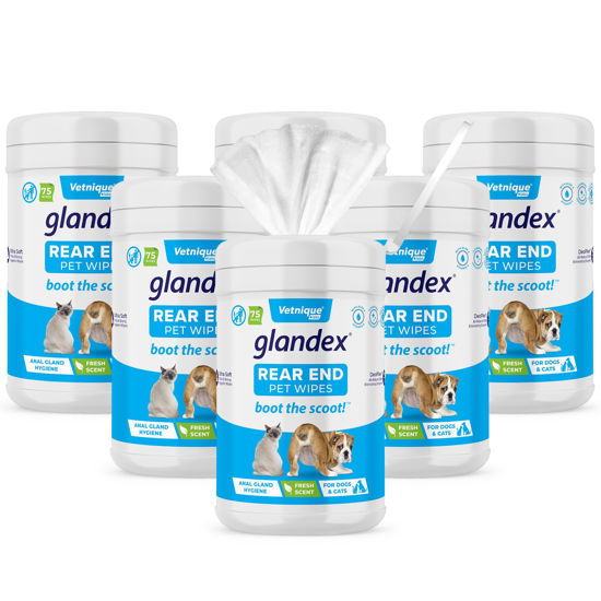 Picture of Vetnique Labs Glandex Dog Wipes for Pets Cleansing & Deodorizing Anal Gland Hygienic Wipes for Dogs & Cats with Vitamin E, Skin Conditioners and Aloe (450ct)