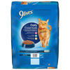 Picture of 9Lives Daily Essentials Dry Cat Food With Chicken, Beef & Salmon Flavors, 12 lb Bag