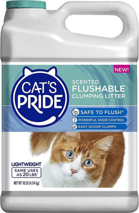 Picture of Cat's Pride Lightweight Clumping Litter: Flushable - Powerful Odor Control - Scented, 10 Pounds