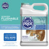 Picture of Cat's Pride Lightweight Clumping Litter: Flushable - Powerful Odor Control - Scented, 10 Pounds