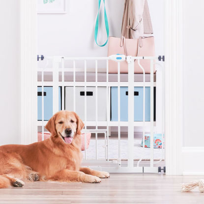 Picture of Carlson Extra Wide Walk Through Pet Gate with Small Pet Door, Includes 4-Inch Extension Kit, Pressure Mount Kit and Wall Mount Kit,White