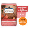 Picture of Nutrish Rachael Ray Real Salmon, Veggies & Brown Rice Recipe Dry Dog Food, 13 lb. Bag