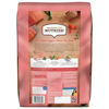 Picture of Nutrish Rachael Ray Real Salmon, Veggies & Brown Rice Recipe Dry Dog Food, 13 lb. Bag