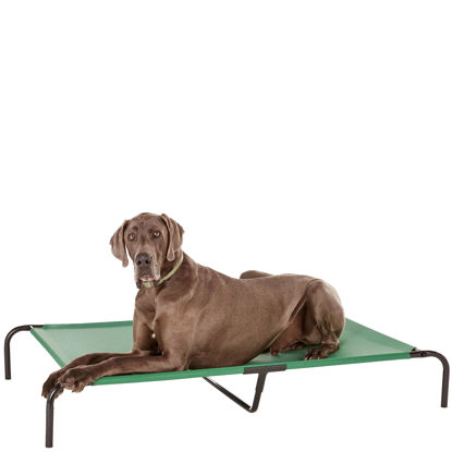 Picture of Amazon Basics Cooling Elevated Dog Bed with Metal Frame, X-Large, 60 x 37 x 9 Inch, Green