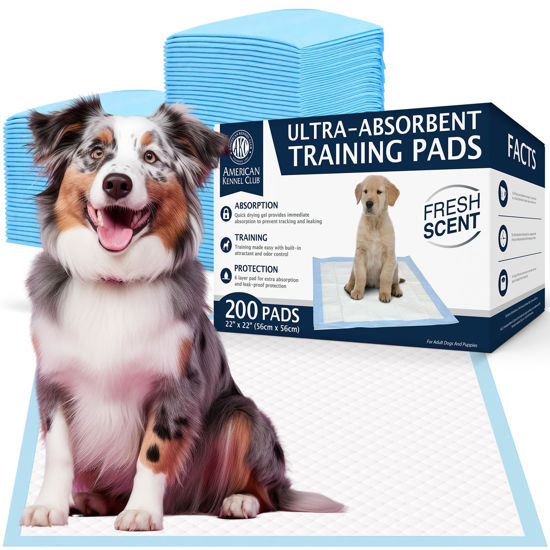 Picture of American Kennel Club Ultra Absorbent Odor Control Scented Training Pads for Dogs Leak-Proof Quick Dry Gel - 22 x 22 Puppy Pads - Fresh Scented - 200 Count