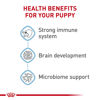 Picture of Royal Canin Size Health Nutrition Small Breed Dry Puppy Food, Supports Brain Development, Immune Support, and Digestive Health, 14 lb Bag