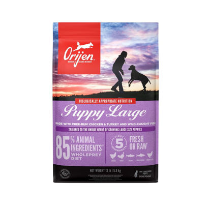 Picture of ORIJEN Puppy Large Dry Dog Food, Grain Free Dry Dog Food for Puppies, Fresh or Raw Ingredients, 13lb