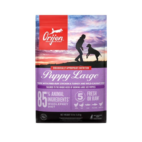 Picture of ORIJEN Puppy Large Dry Dog Food, Grain Free Dry Dog Food for Puppies, Fresh or Raw Ingredients, 13lb