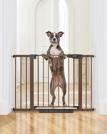 Picture of Cumbor 29.7-46" Baby Gate for Stairs, Mom's Choice Awards Winner-Auto Close Dog Gate for the House, Easy Install Pressure Mounted Pet Gates for Doorways, Easy Walk Thru Wide Safety Gate for Dog, Brown