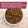 Picture of Rachael Ray Nutrish Little Bites Dry Dog Food, Chicken & Veggies Recipe for Small Breeds, 14 Pound Bag