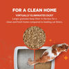 Picture of WORLD'S BEST CAT LITTER Low Tracking & Dust Control Multiple Cat Unscented 15 Pounds