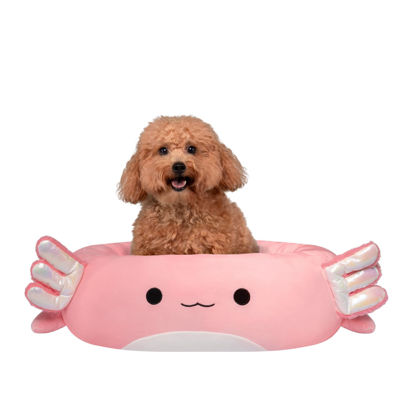 Picture of Squishmallows Original 20-Inch Archie the Axolotl Pet Bed - Small Ultrasoft Official Squishmallows Plush Pet Bed