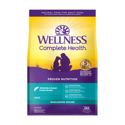 Picture of Wellness Complete Health Dry Dog Food with Grains, Natural Ingredients, Made in USA with Real Meat, All Breeds, For Adult Dogs (Whitefish & Sweet Potato, 15-Pound Bag)