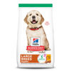 Picture of Hill's Science Diet Puppy, Large Breed Puppy Premium Nutrition, Dry Dog Food, Chicken & Brown Rice, 15.5 lb Bag