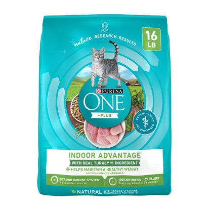 Picture of PURINA ONE Natural, Low Fat, Weight Control, Indoor Dry Cat Food, +Plus Indoor Advantage - 16 lb. Bag