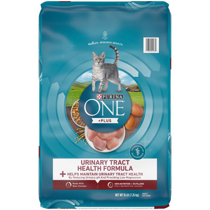 Picture of Purina ONE High Protein Dry Cat Food, +Plus Urinary Tract Health Formula - 16 lb. Bag