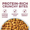 Picture of Purina ONE High Protein Dry Cat Food, +Plus Urinary Tract Health Formula - 16 lb. Bag