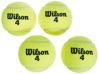 Picture of WILSON Championship Tennis Balls - Extra Duty, 24 Can Case (72 Balls)