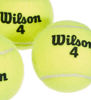 Picture of WILSON Championship Tennis Balls - Extra Duty, 24 Can Case (72 Balls)