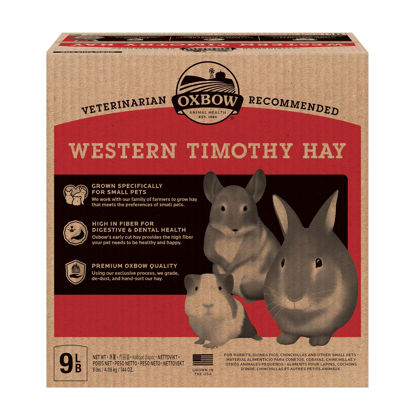 Picture of Oxbow Animal Health Western Timothy Hay - All Natural Hay for Rabbits, Guinea Pigs, Chinchillas, Hamsters & Gerbils-Veterinarian Recommended- Digestive & Dental Health- Grown in the USA- 9lb.