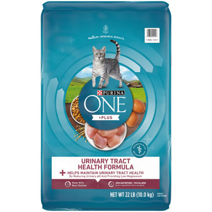 Picture of Purina ONE High Protein Dry Cat Food, +Plus Urinary Tract Health Formula - 22 lb. Bag