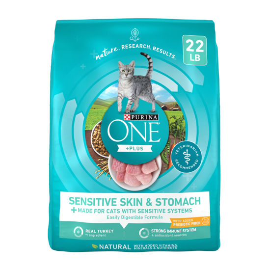 Picture of Purina ONE Sensitive Stomach, Sensitive Skin, Natural Dry Cat Food, +Plus Sensitive Skin and Stomach Formula - 22 lb. Bag