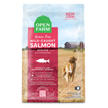 Picture of Open Farm Wild-Caught Salmon Grain-Free Dry Dog Food, Fresh Pacific Salmon Recipe with Non-GMO Superfoods and No Artificial Flavors or Preservatives, 22 lbs